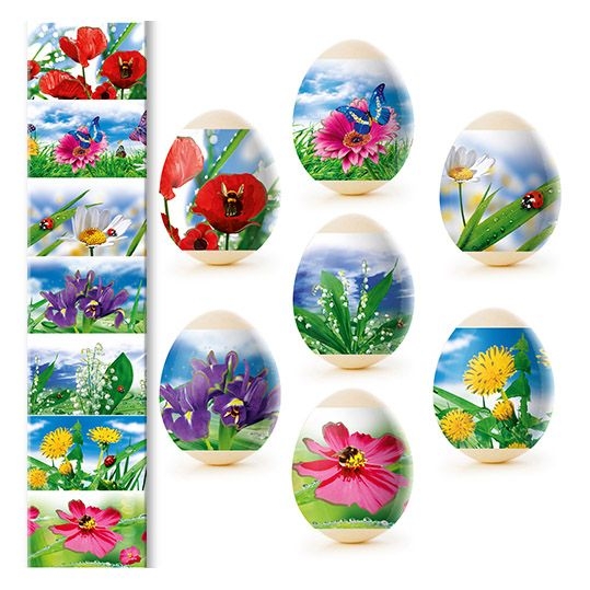 Thermoaufkleber in Streifen "Wildblumen"
