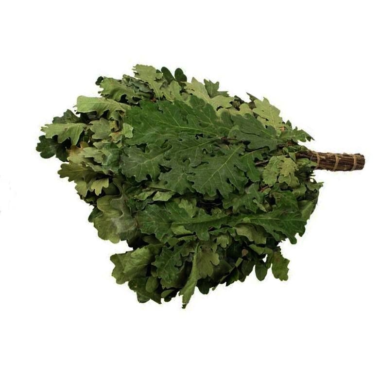 Reisig aus Eiche für die Sauna