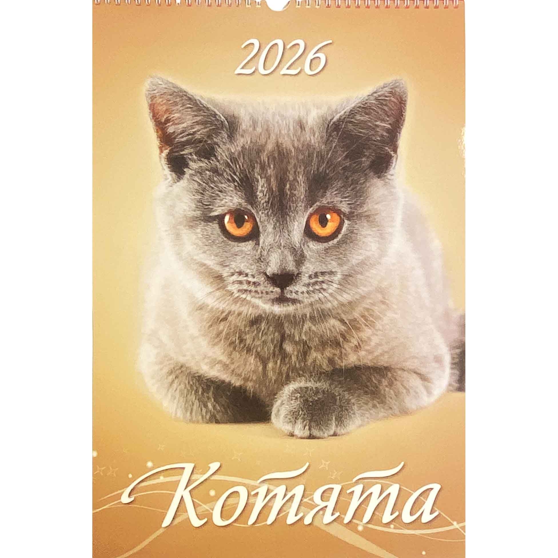 Wandkalender 2026, 32x48 cm - "Kätzchen"