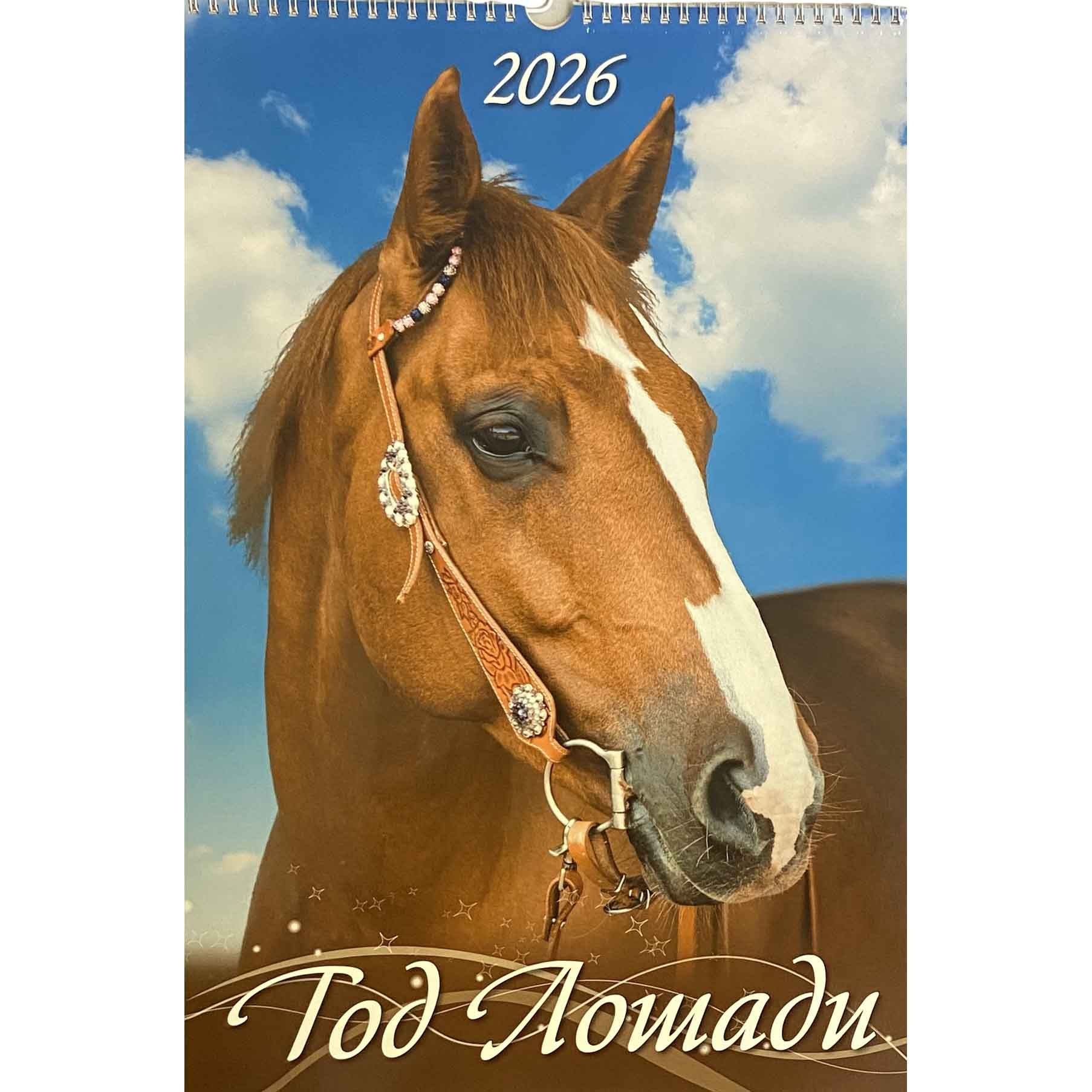 Wandkalender 2026, 32x48 cm - "Jahr des Pferdes. Typ 1"