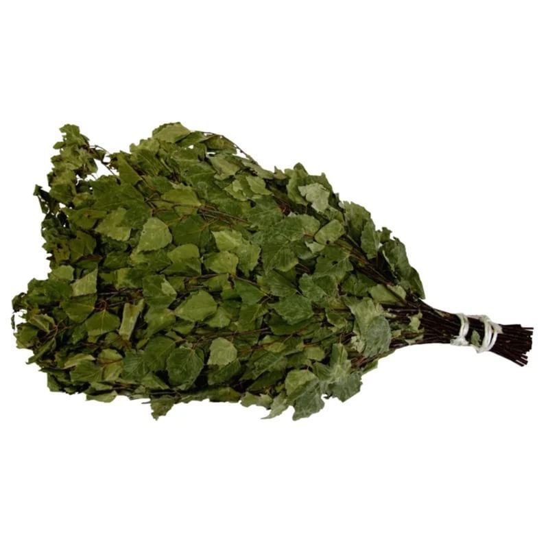 Reisig aus Birke für die Sauna