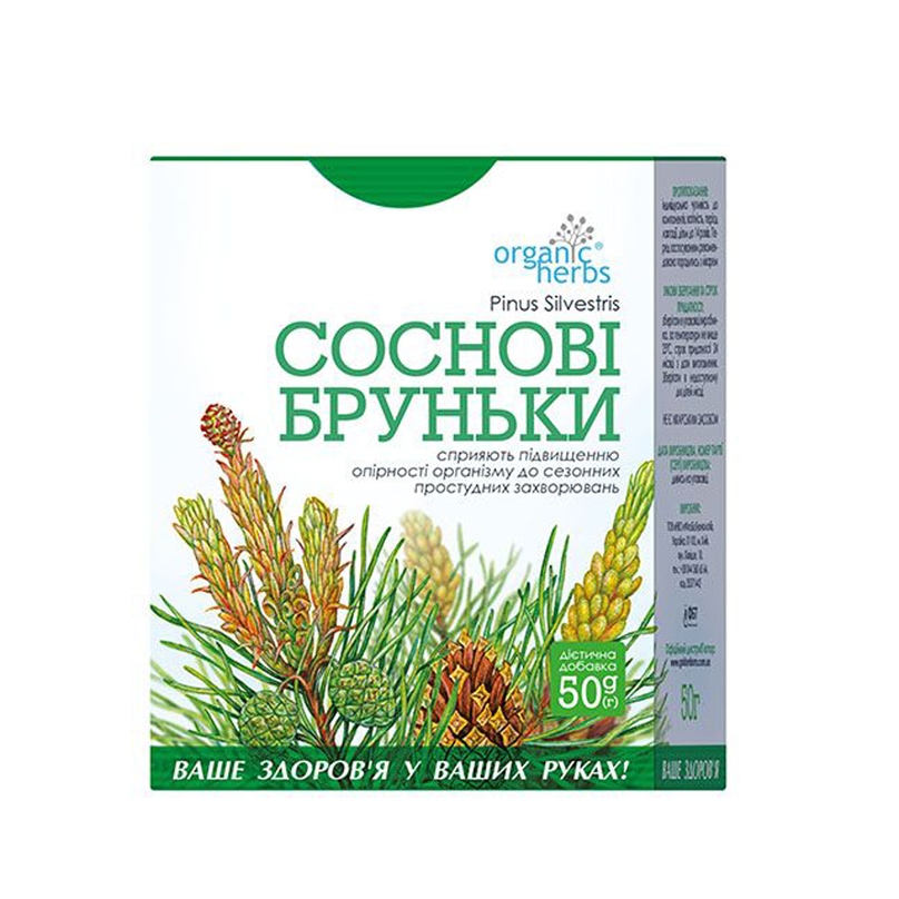 Kräutertee "Kiefersprossen" 50g