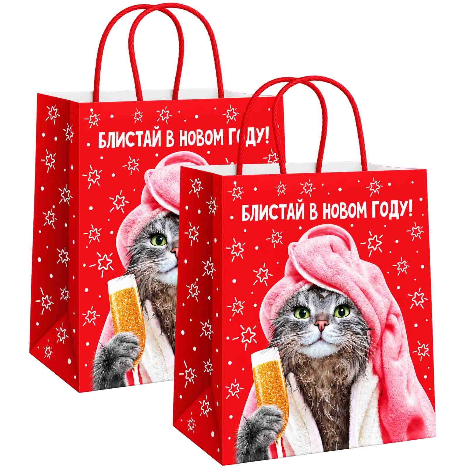 Geschenktasche-Set. aus 2 St., М3, "Блистай в новом году", 32x28x15 cm