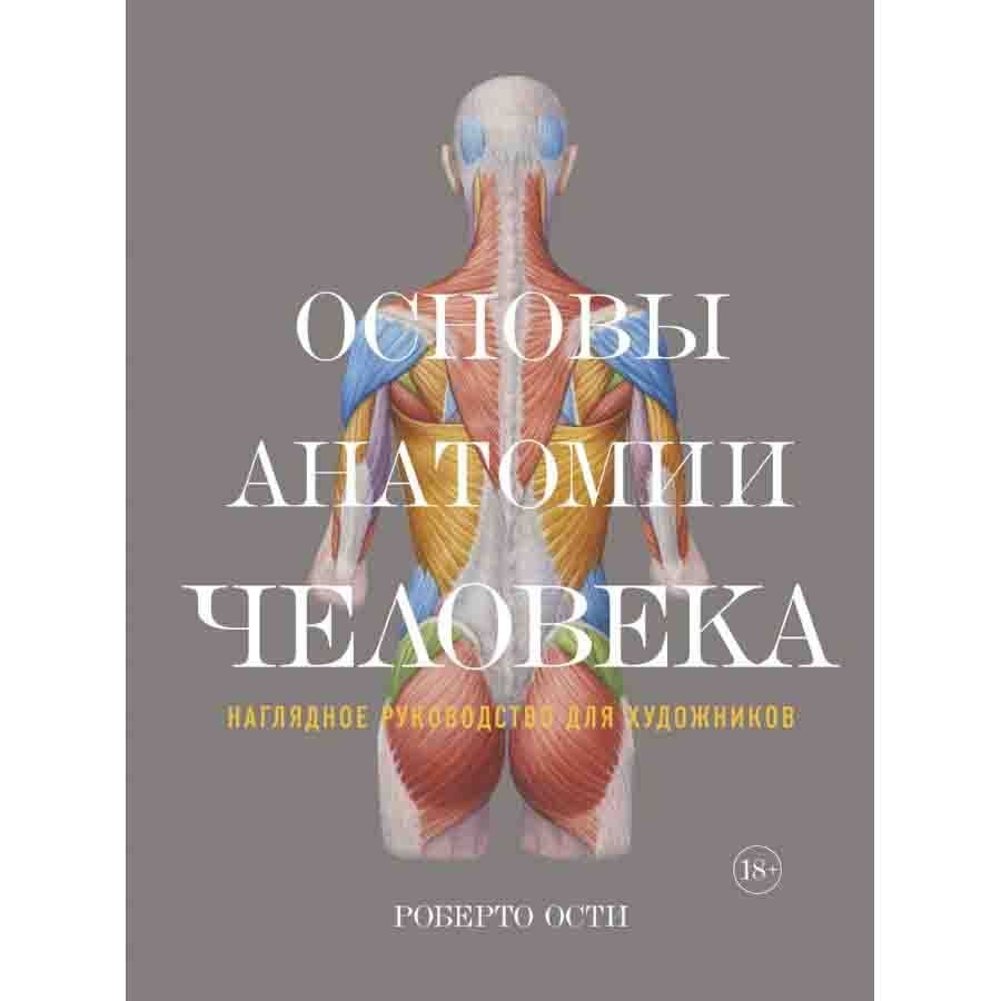 Buch, Основы анатомии человека. Наглядное руководство для художников