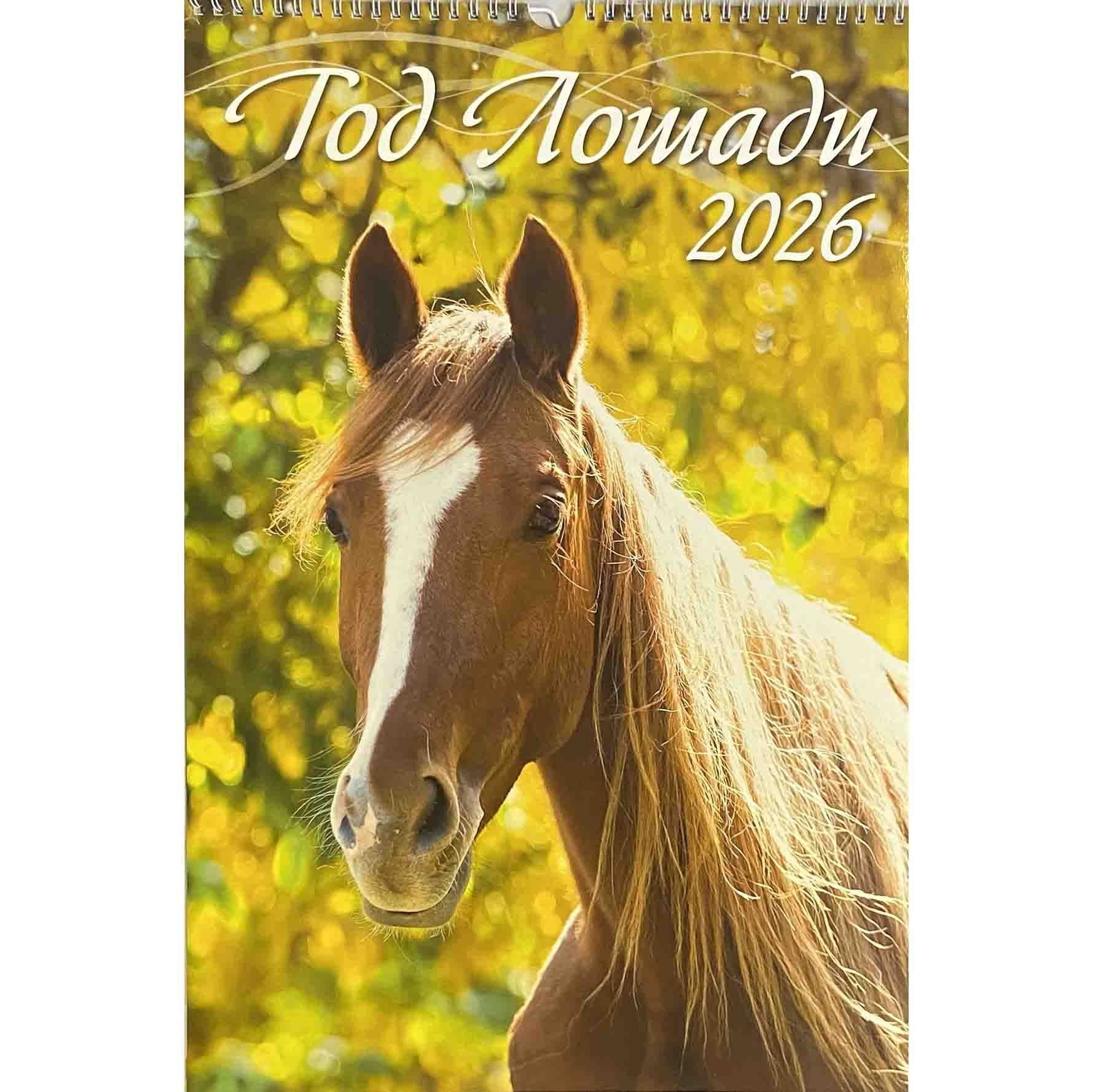 Wandkalender 2026, 32x48 cm - "Jahr des Pferdes. Typ 2"