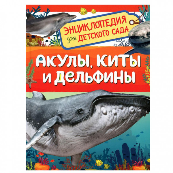 Buch, Акулы, киты и дельфины (Энциклопедия для детского сада)