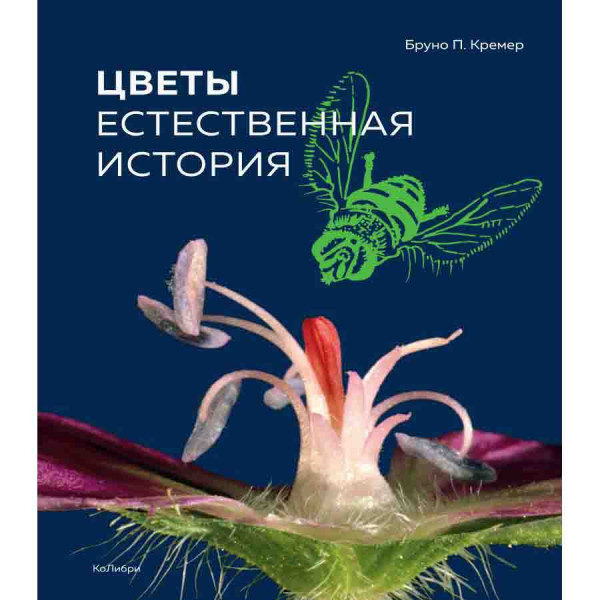 Buch, Цветы. Естественная история