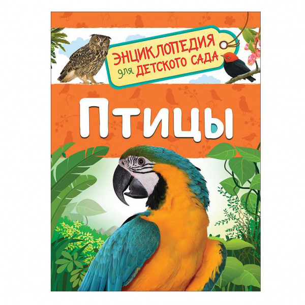 Buch, Птицы (Энциклопедия для детского сада)