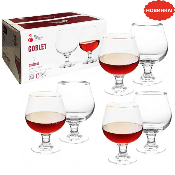 Set aus 6 Gläsern, Cognacgläser "Goblet" 260 ml (G3704)